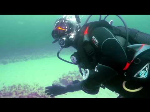 Tauchen in Elmenhorst