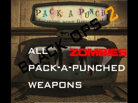 Black Ops 2 Zombies | All Pack-a-Punched Weapons: KAP-40