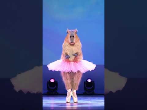 Capibara Bailarina🩰 ¡Mira la canción COMPLETA, la animación y todos los pasos de la Capibara aquí! 👇