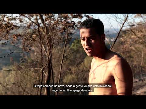 Incêndio no Território Indígena Jaraguá