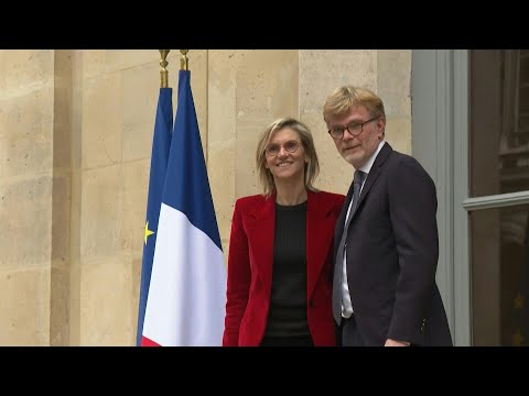 France's new junior Agriculture Minister Agnes Pannier-Runacher | AFP
