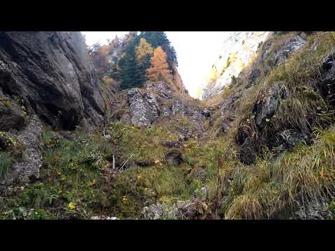 VALEA COMORILOR DIN BUCEGI CATRE BRANA LUI RADUCU