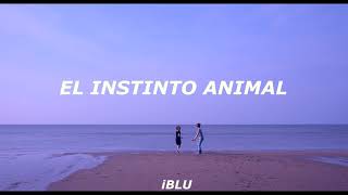 The Cranberries // Animal Instinct (Subtitulada Al Español)