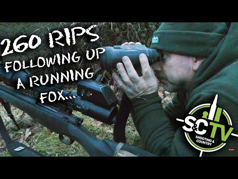 S&C TV | Mark Ripley (260RIPS) 20 | Following up a running fox