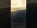 Piso De Blocos De Cimento Feito No Local Com Forma Simples Cobertura