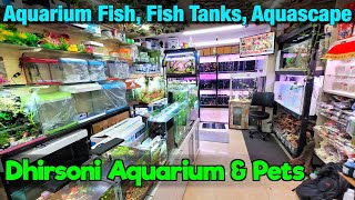 New Fish Stock at Dhirsoni Aquarium Store