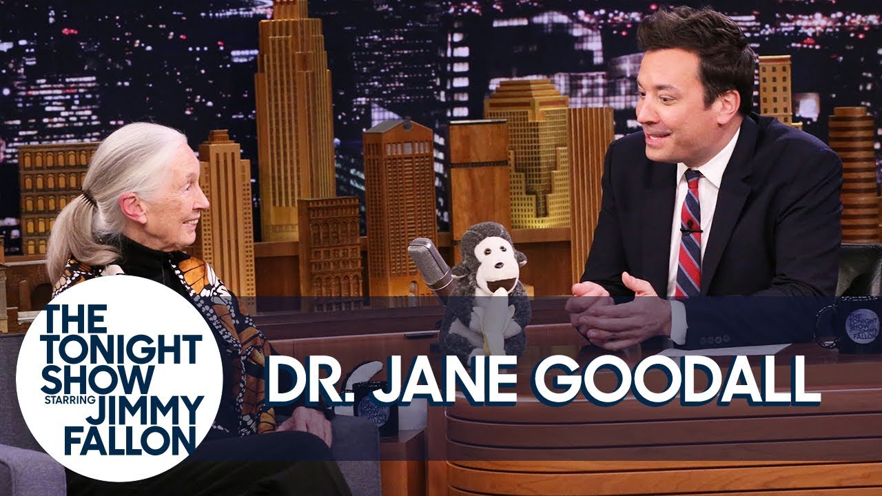 Dr. Jane Goodall Introduces Jimmy to Her Mascot Mr. H and Disneynature's Steve