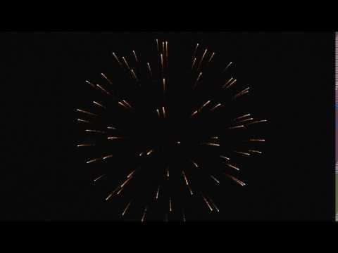 LC40074 4'' SEA BLUE DAHLIA