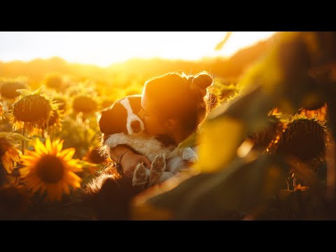 Amy | 6 years together [ Border Collie ]