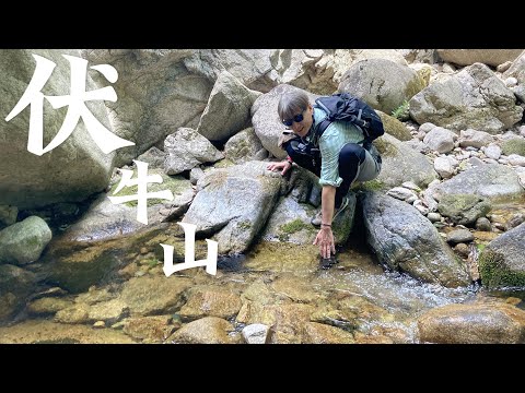 河南栾川伏牛山龙峪湾徒步 | Hiking in Longyuwan, Funiu Mountains, Luanchuan, Henan