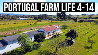 A beautiful FARM in Portugal | PORTUGAL FARM LIFE S4-E14 🌞