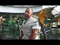 Don't Mess With Parrots In Dubai