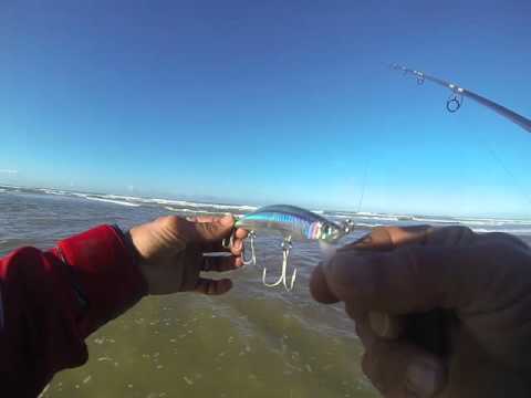 Tide minnow clear sayori 175 slim