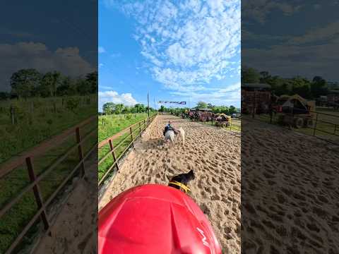 #coleo #saravena #arauca #viralvideo #viralshort #masvistos #popular #viralreels