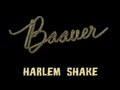 Baauer - Harlem Shake (Original) [Official Lyrics ...