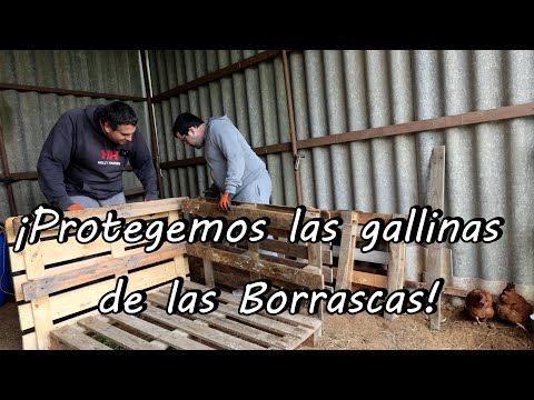 Borrasca tras borrasca! Hacemos el GALLINERO de PALLETS! #110