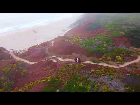 Colorful Coast with family