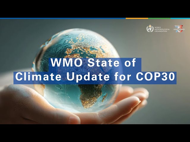 State of Climate Update for COP30
