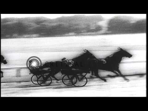 Volo Song wins the Hambletonian trotting race in Goshen, New York. HD Stock Footage