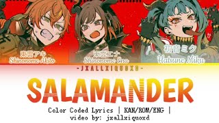 Cover art for Salamander- project sekai - akito and ena -