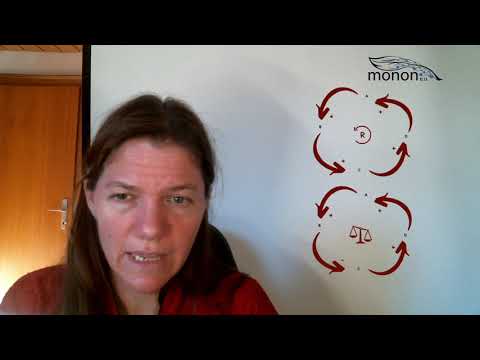 Systemic Thinking: What are the elements of a Causal Loop Diagram?