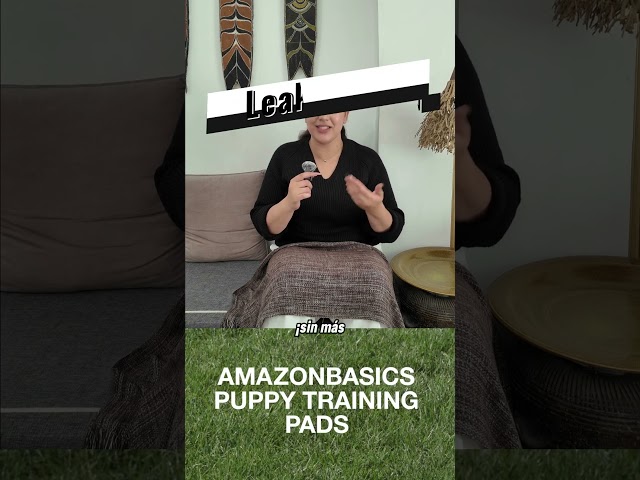 Vídeo relacionado con Accesorio de cuidado de desprendimiento para perros, herramienta anti-tachout | Dulce depiladora flotante, eliminación efectiva de esporas viejas con la máxima comodidad durante el cuidado diario de