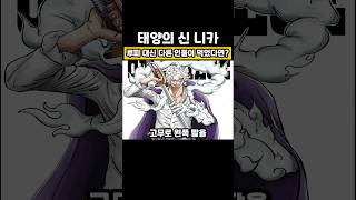 원피스 태양의 신 니카로 변한 캐릭터 5명