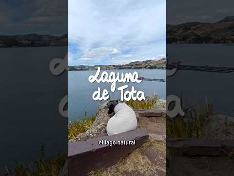 Laguna de Tota - Boyacá 🇨🇴 #gitanaporelmundo