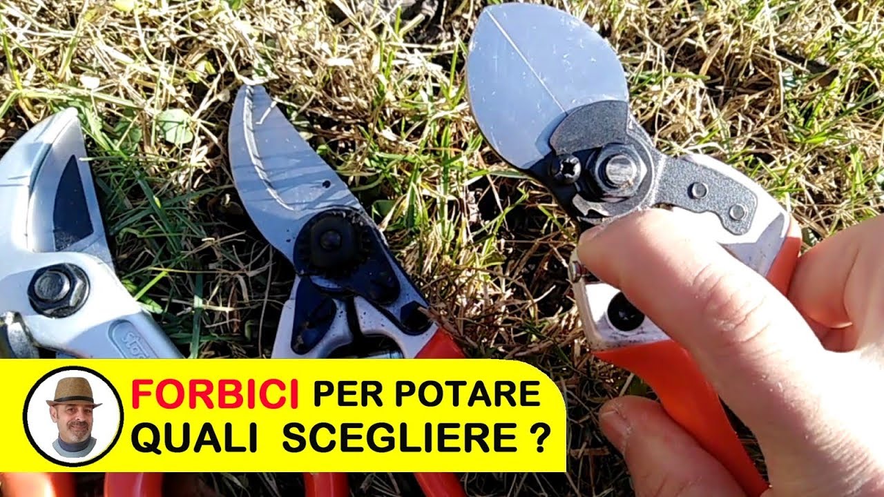 Watch Now FORBICI DA POTATURA QUALI SCEGLIERE FORBICI DA POTATURA QUALI SCEGLIERE