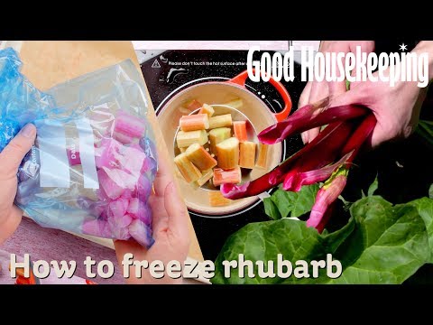 How to Freeze Rhubarb | Good Housekeeping UK