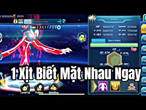 Pokeland Legends : Test Resonance Yveltal S656