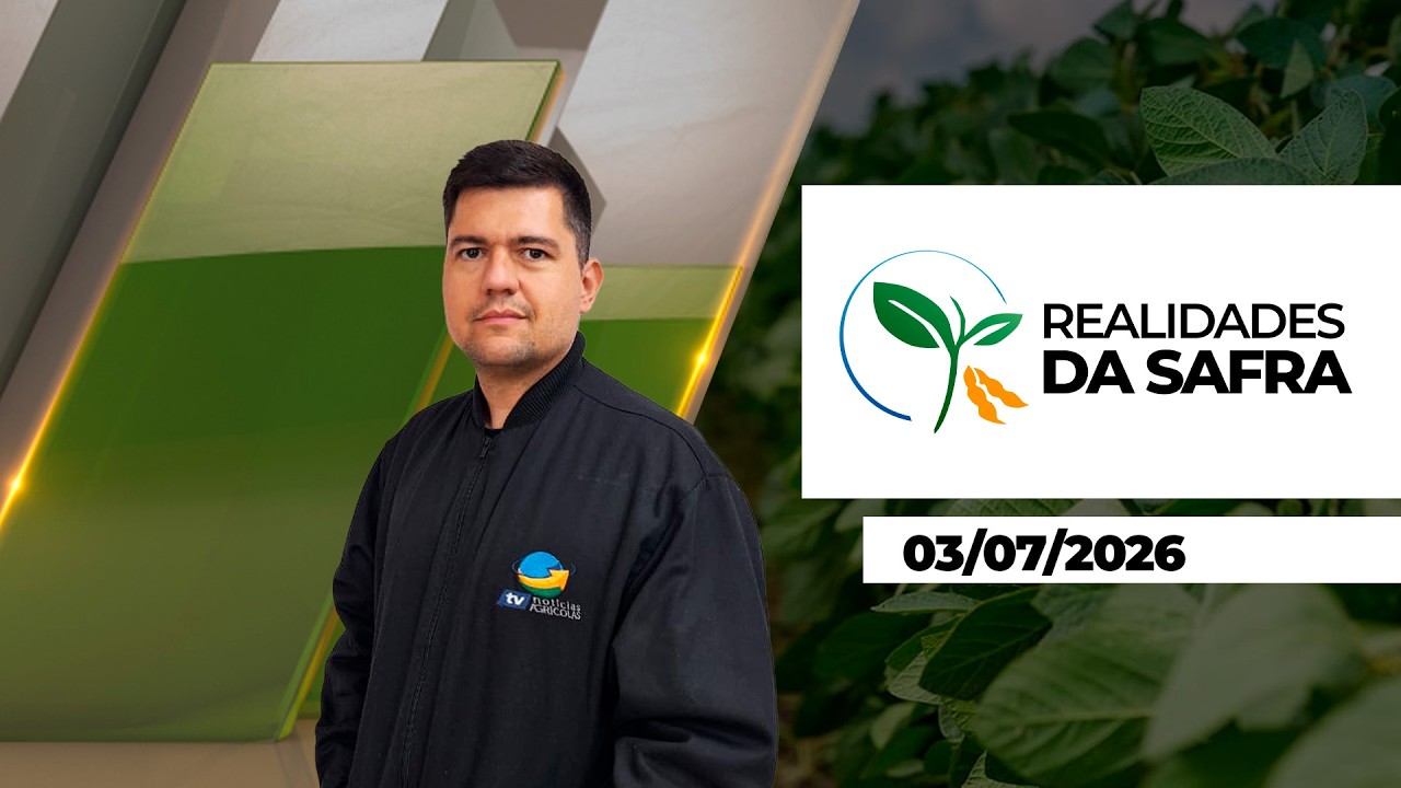 REALIDADES DA SAFRA - EDIÇÃO 03-07-2026