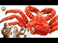 Giant Crab Spicy Noodle Mukbang | Kali Muscle + Big Boy + Chef Rush