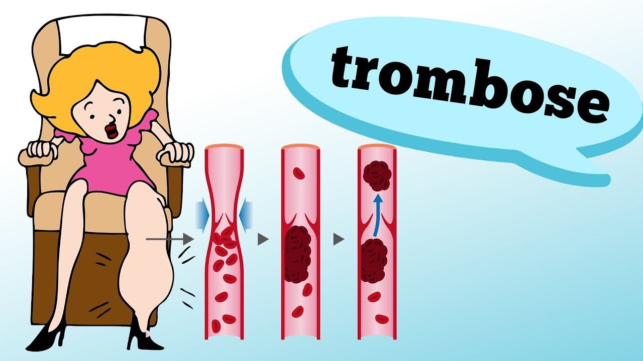 Vitor Cervantes Gornati-2