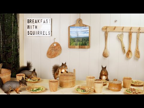 Breakfast With Squirrels and Calm Music for increased focus