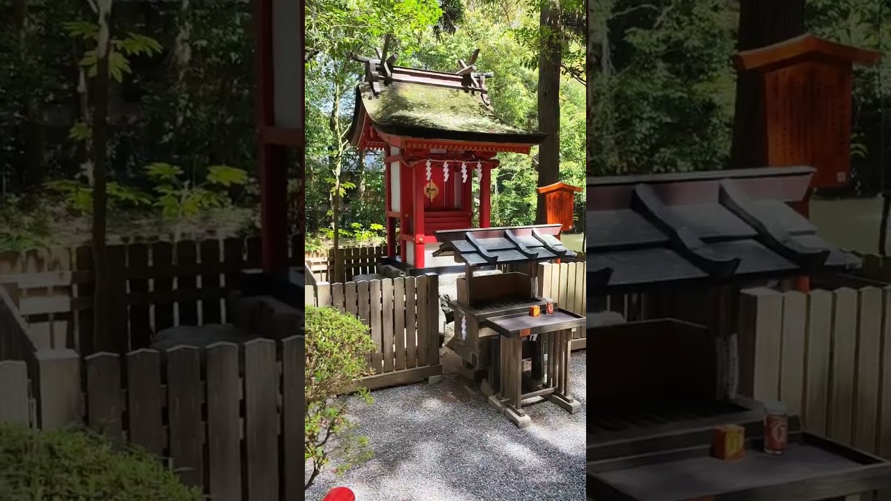 YouTube Short thumbnail