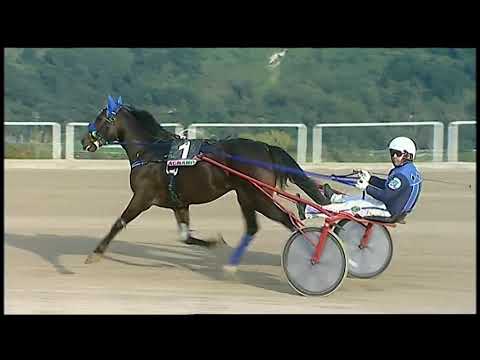 Napoli Trotto 29/10/2021 - 6ª corsa