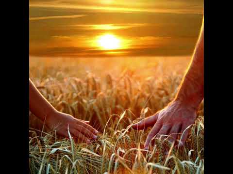 Александр  Марцинкевич (Давай  убежим)