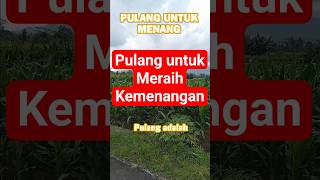 Thumbnail Stoikisme Dalanan