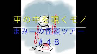 （車の中を覗くモノ）【怪談朗読・ホラーの旅】まみーの怪談ツアー＃４８