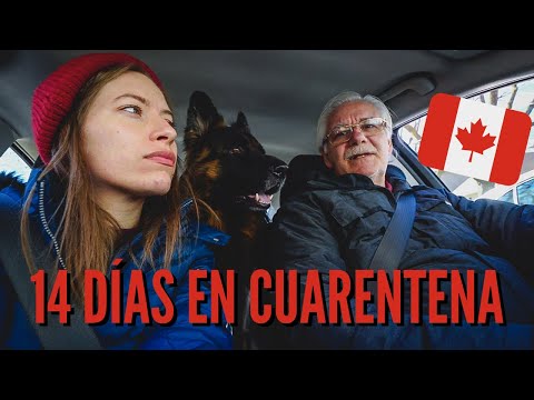 , title : '14 DÍAS Haciendo CUARENTENA en CANADÁ 🇨🇦 | Vida en Canadá Ahora + Últimas Noticias + Planes de Ayuda'