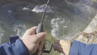 preview picture of video 'Trout Fishing in Buchannon Co. Va'