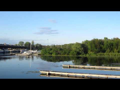 Osprey Hawk Catches Big Fish