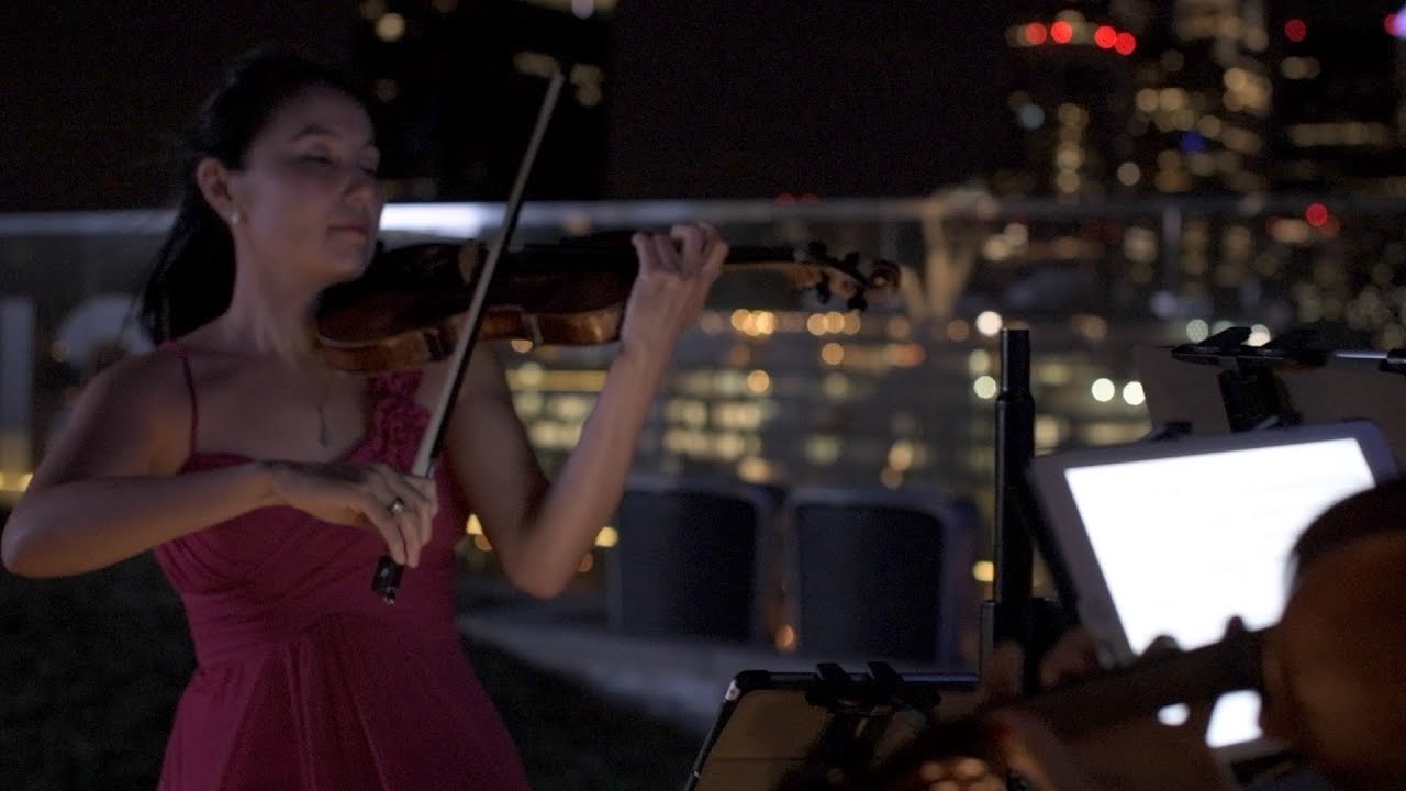 Promotional video thumbnail 9 for Elegance Quartet Entertainment