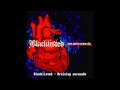 Blacklisted - Bruising serenade (con letra/with lyrics)