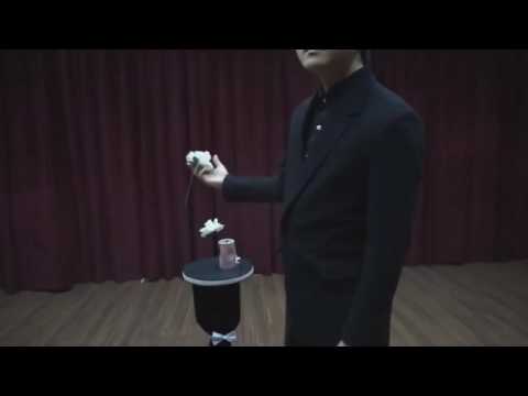 Return to Ball by JL