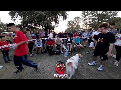 Pancho vs Mono Strong|| Semi Final || Regional ||(KOMP3 x Rap Soldier)|| Fusion || 07/11||