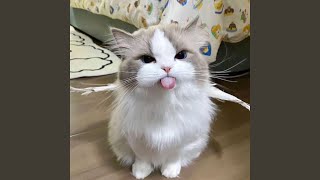 Cover art for Sinking Town