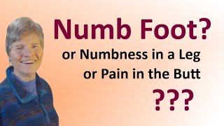 Numb Foot or Leg or Pain in the Butt? Piriformis Muscle