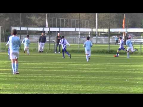 Samenvatting Leonidas E4  -  Hermes DVS E3